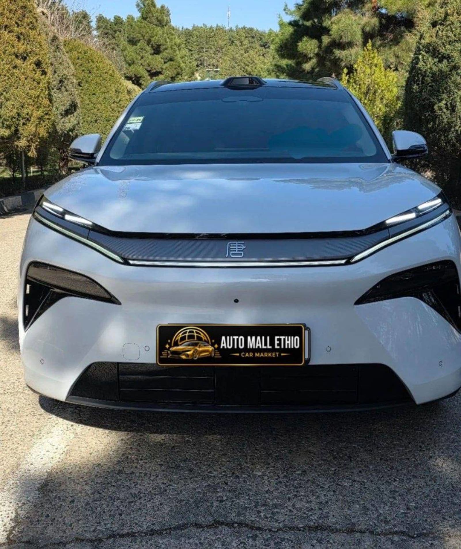 2025 BYD Tang L EV RWD Flagship Edition — photo 6