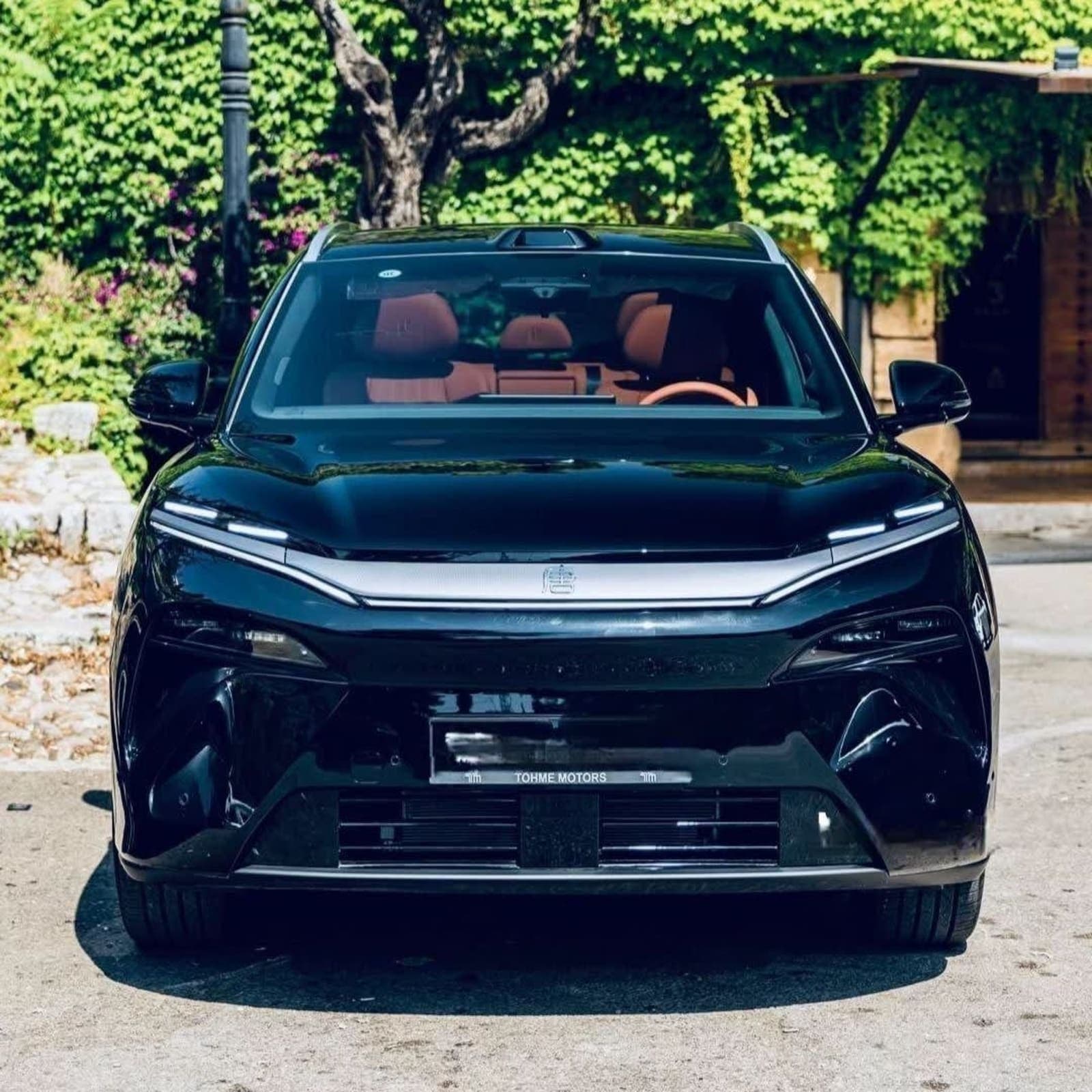 2025 BYD Tang L EV RWD Flagship Edition