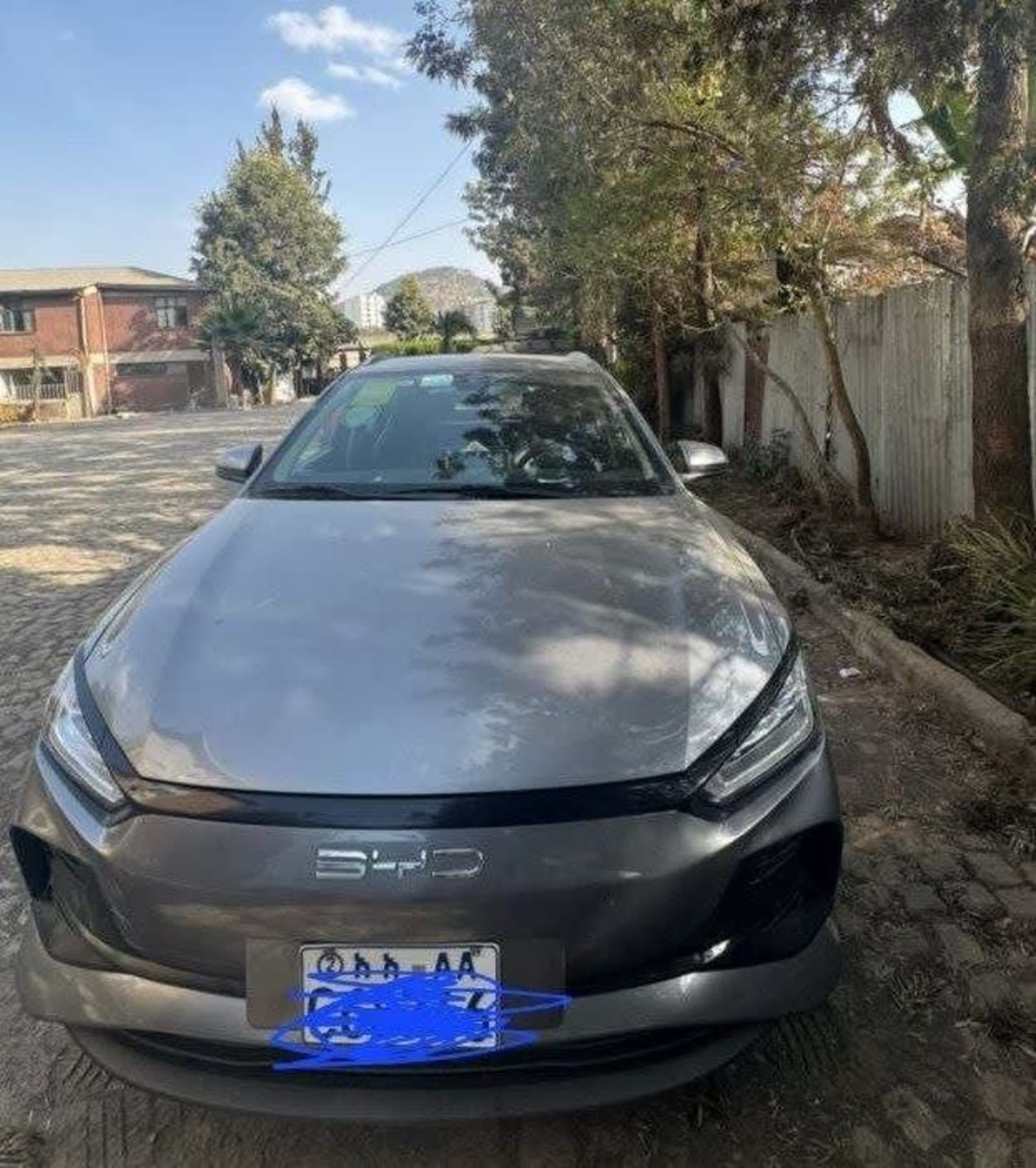 2024 BYD E2