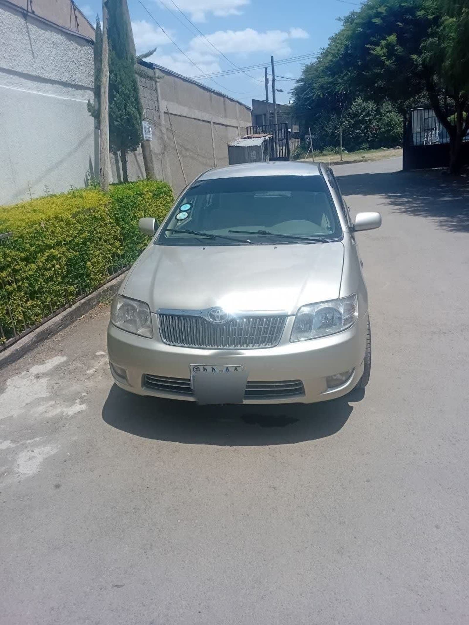 2007 Toyota Corolla — photo 7