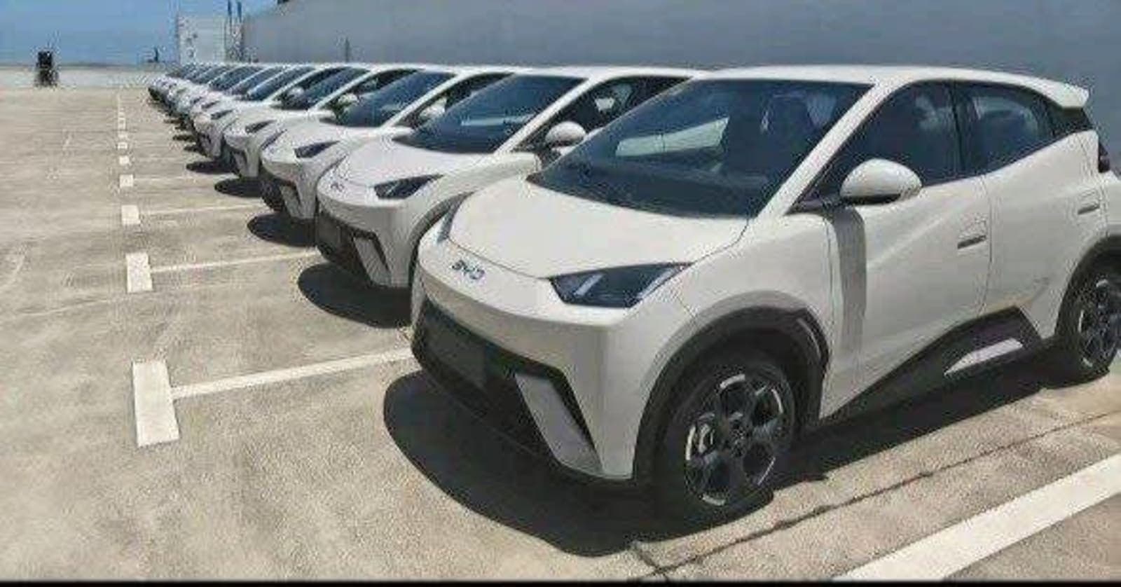 2025 BYD SEAGULL — photo 2