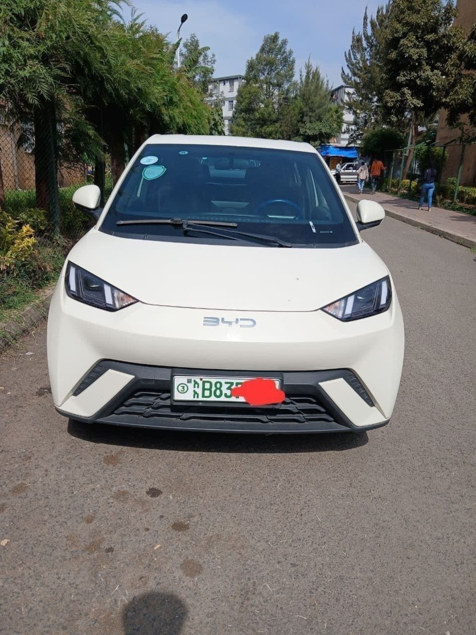 2024 BYD Seagull — photo 4
