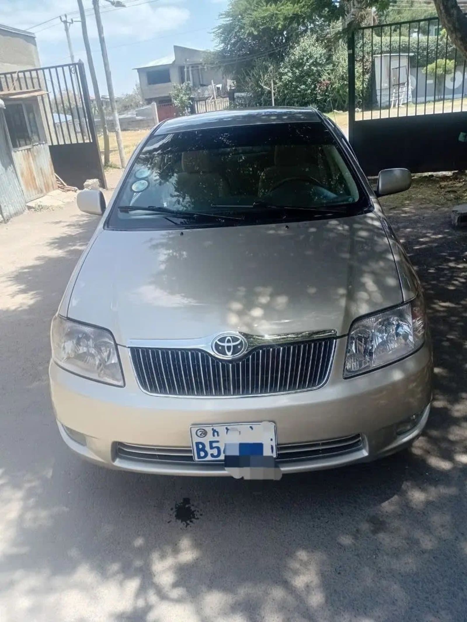 2007 Toyota Corolla — photo 7
